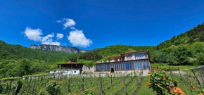 Korenishuli Veranda Wine Hotel 40 km from Tsageri